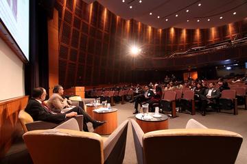 Amphitheater panel speakers