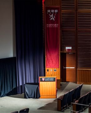 Amphitheater podium and conference monitor